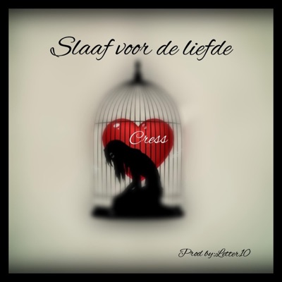 Slaaf Voor De Liefde - Single