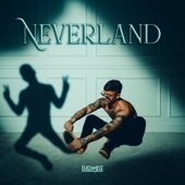 Neverland artwork