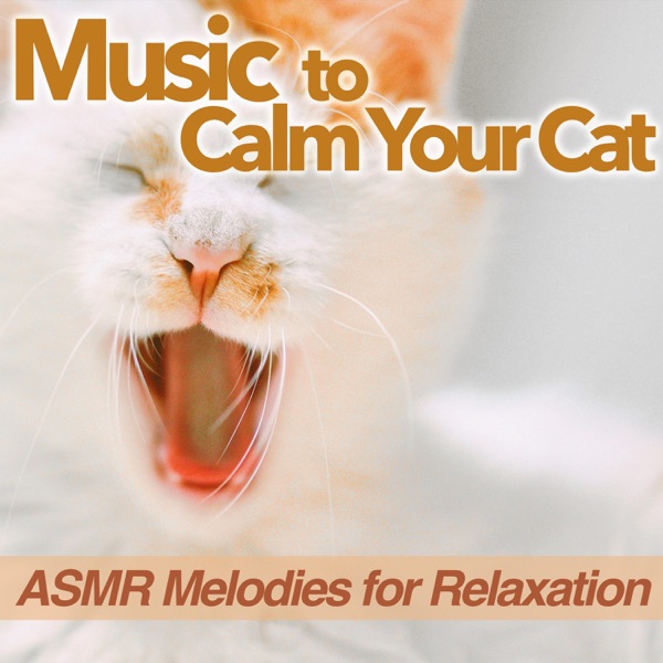 Music to Calm Your Cat - ASMR Melodies for Relaxation