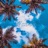 Waves (feat. Peak)