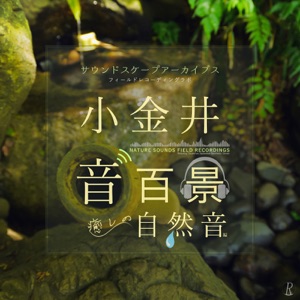 Calming Rain Sounds - Alpha Waves (Sanraku Forest Sound Scapes)