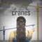 Cranes - NexKin lyrics