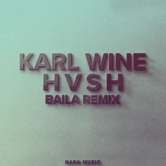 Baila (Remix) by Karl Wine & HVSH song reviws