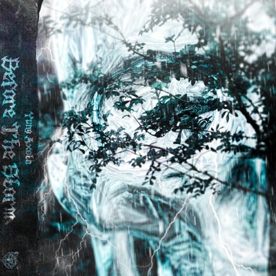 Before the Storm - Single