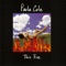 I Don't Want to Wait - Paula Cole lyrics