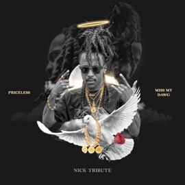 Miss My DawG (Nick Tribute) Priceless