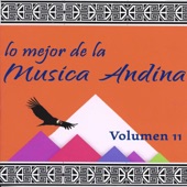 Lo Mejor de la Música Andina, Vol. 11 artwork