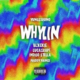 Whylin (feat. Lucasraps, Blxckie, Indigo Stella & Priddy Prince) yungseruno