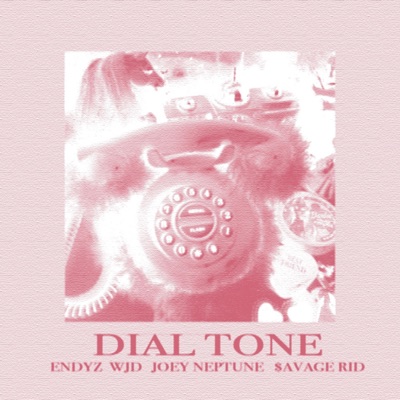 DIAL TONE (BEEP-BEEP-BEEP) (feat. wjd, Joey Neptune & $avage Rid) - Single