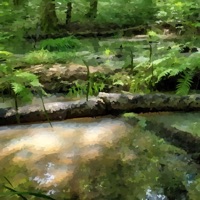 Glass Waves - Single - Rivulet