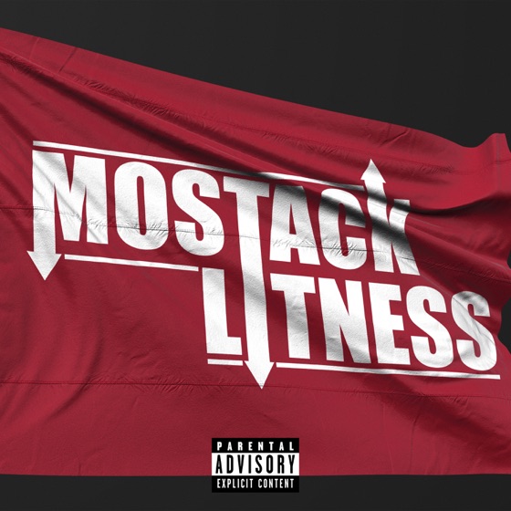 Cover artwork for Litness