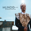 Egoli (feat. Sjava) - Mlindo The Vocalist