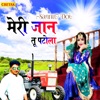 Meri Jaan Tu Patola - Single