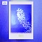 Blvcklight Blxssxm - Xeal lyrics
