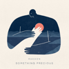 Something Precious - Rakoon