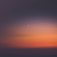 Nocturne - Single - Cash