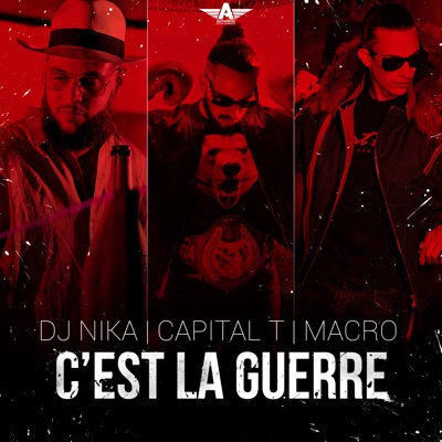 C'est la guerre (feat. DJ Nika) - Single