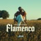 Flamenco - Kristian Florea lyrics