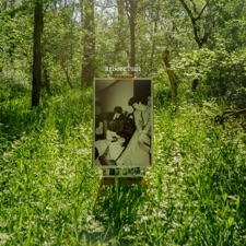 Arboretum - Fine On My Own