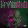 Love & Reggae - Collie Buddz