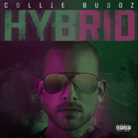 Love &amp; Reggae - Collie Buddz Cover Art