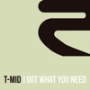 I Got What You Need - Single
