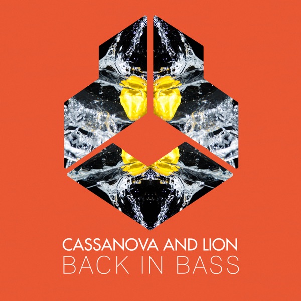 Back in Bass - Single