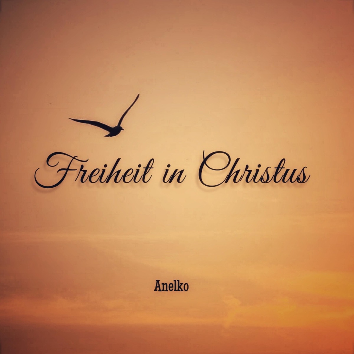 Freiheit im Christus Logo