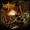 Vorace - paroxysm lyrics