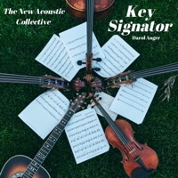 Key Signator - Single - The New Acoustic Collective