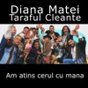 Am Atins Cerul Cu Mana (feat. Taraful Cleante) - Single