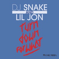 Turn Down for What - Single - DJ Snake & Lil Jon