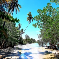 Power - Single - Menumas & The Witcher