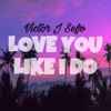 Love You Like I Do - Single