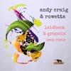 Laidback & Groovin' (Remix) - Single