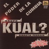 Grupo Kual Dinastia Pedraza