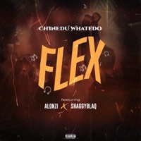 Flex (feat. ALONZI & SHAGGYBLAQ) - Single - Chinedu Whatedo