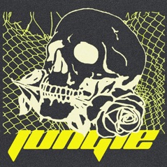 Jungle - Single