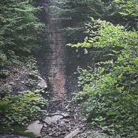 50 Shades of Glizzy (feat. Sewerperson & twintails) - Single - Noah2000