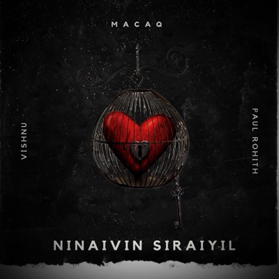NINAIVIN SIRAIYIL (feat. Paul Rohith) - Single