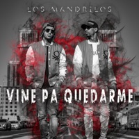 Vine pa quedarme (feat. Blessed dog) - Single - ReyD Reyes