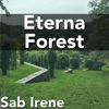 Eterna Forest (From "Pokémon Dppt") [Instrumental Version] - Single