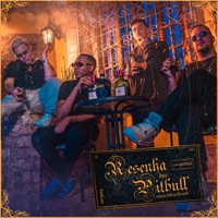 Resenha dos Pitbull - Single - Belisa, Gunkah, Libonati & Vivone