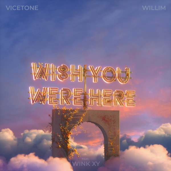Wish You Were Here (feat. Wink XY) - Single
