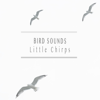 Wake up Birds - Bird Sounds