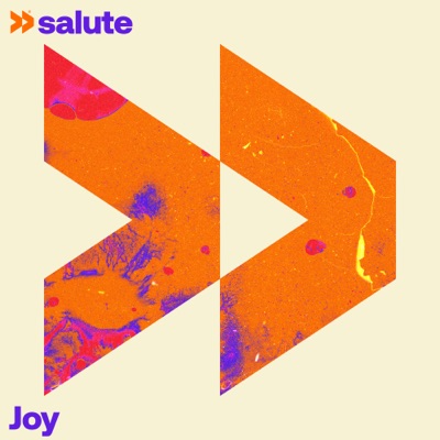 Joy cover art