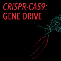 Gene Slow - Single - J Trap O