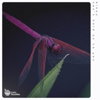 Can't Hold On To You - Single - Kikou & Lazy Noodles