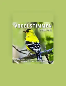 Vogelstimmen ohne Musikを聴いたり、ミュージックビデオを鑑賞したり、経歴やツアー日程などを確認したりしましょう！