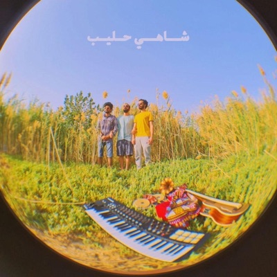 شاهي حليب - Single